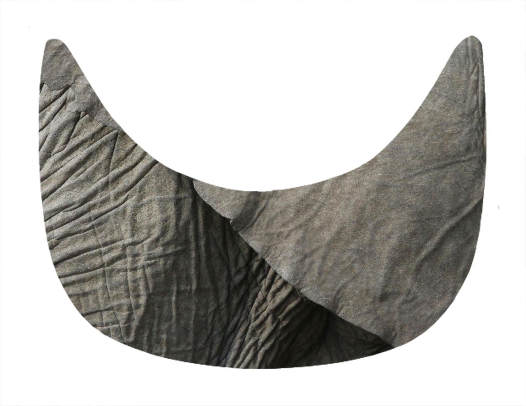 Eléphanteau MAKAÏ