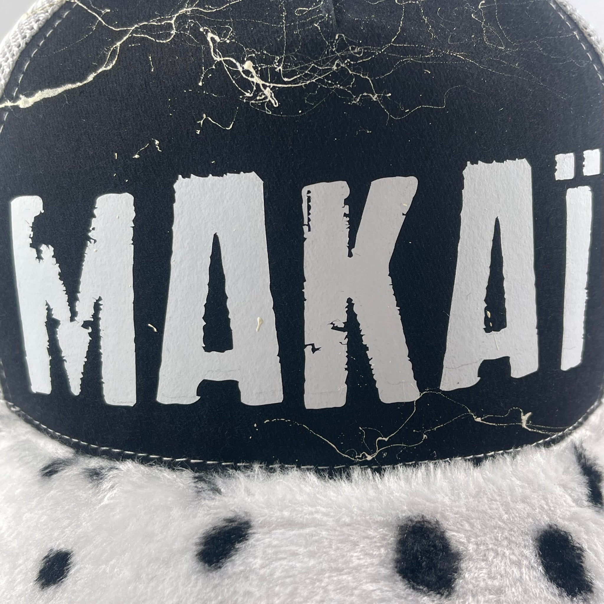 Dalmatien 2024 MAKAÏ