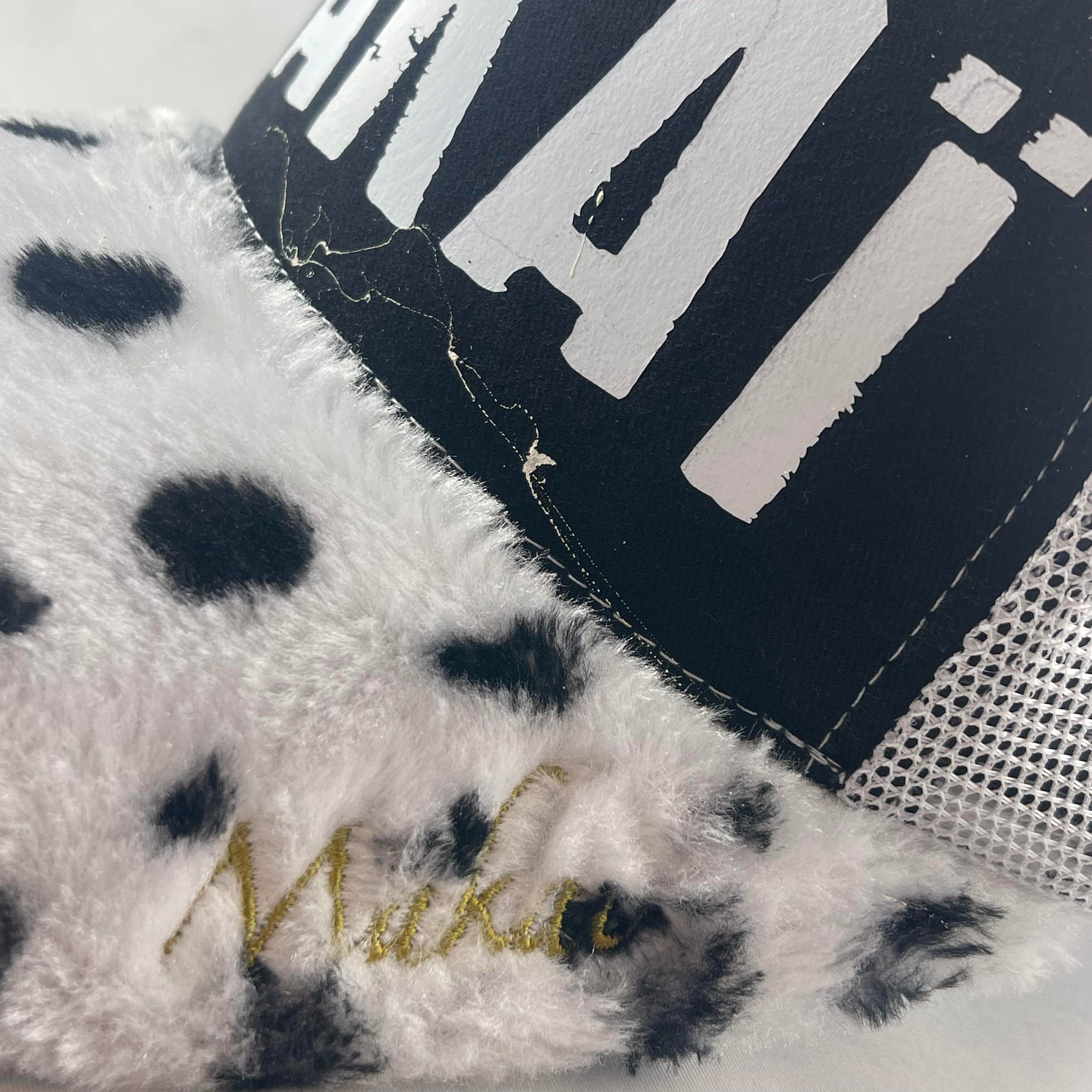 Dalmatien 2024 MAKAÏ