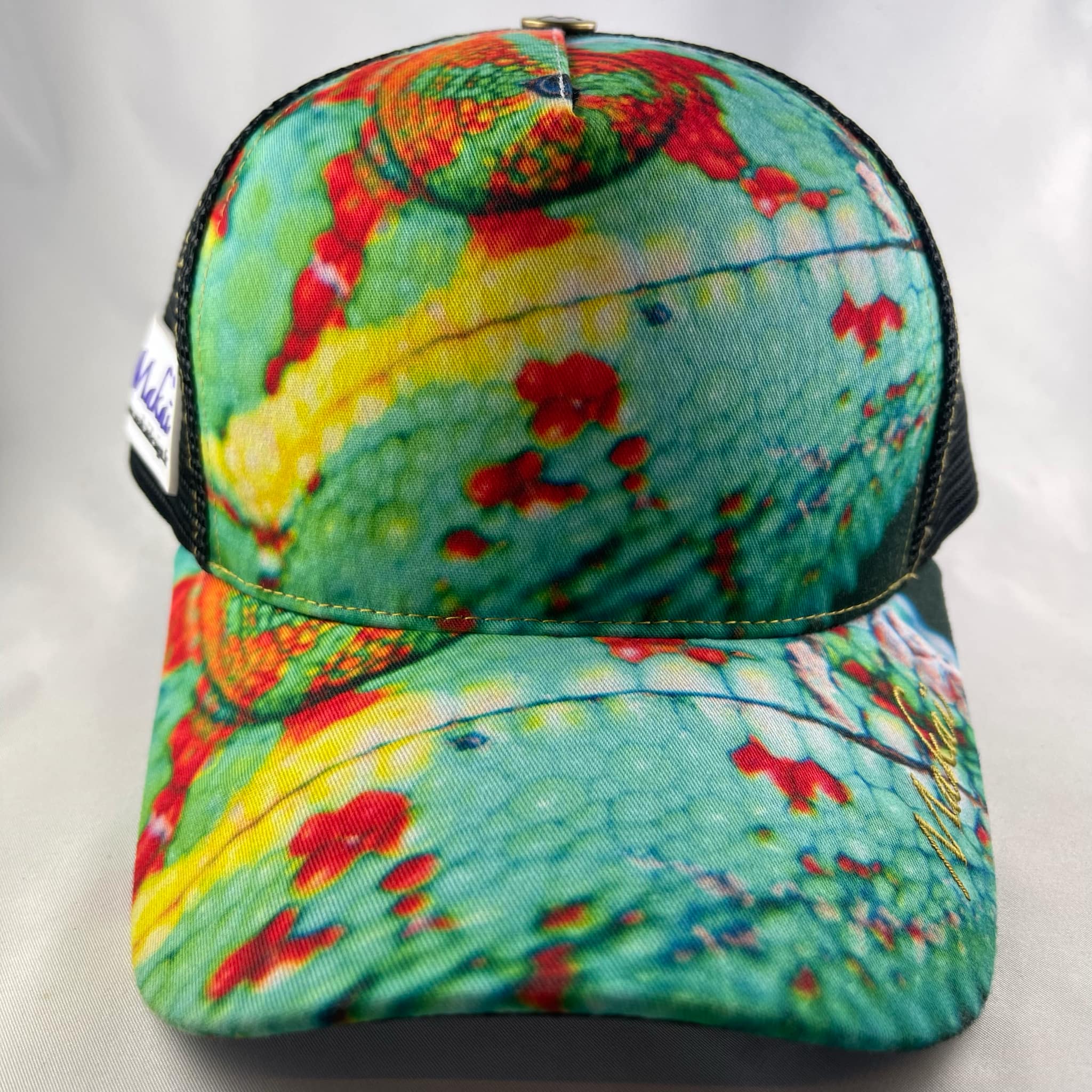 Caméléon