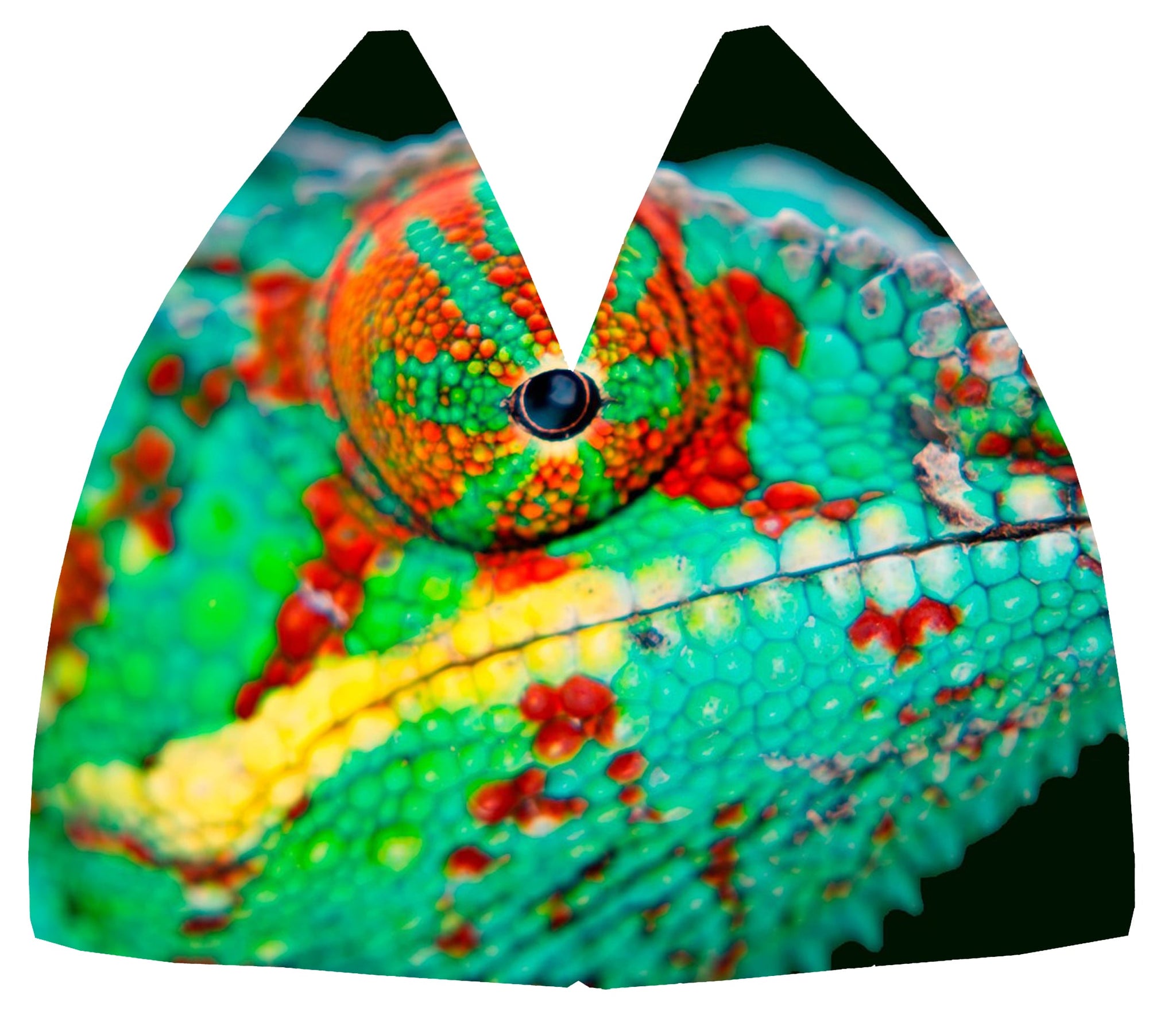 Caméléon MAKAÏ