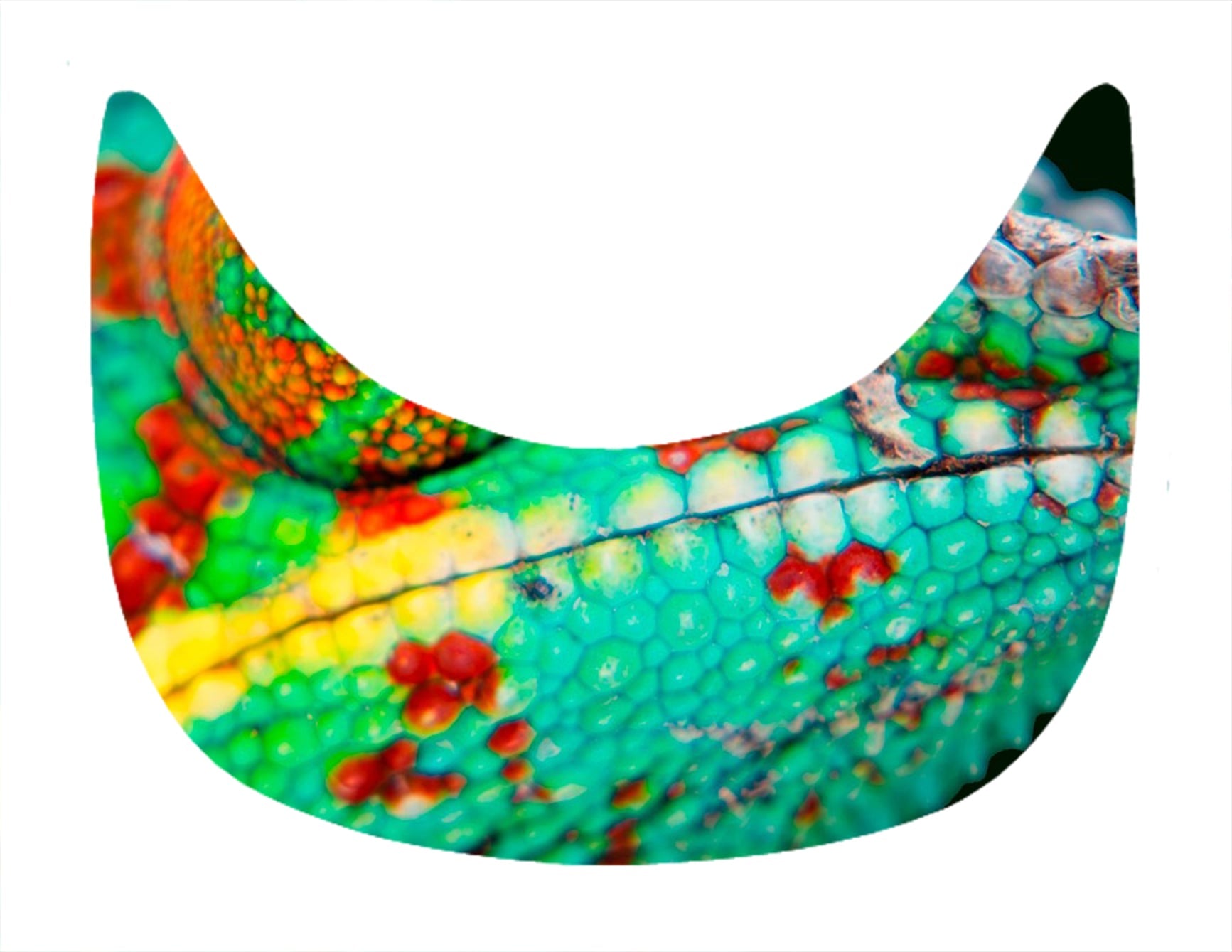 Caméléon MAKAÏ